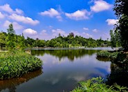 秀湖公園 